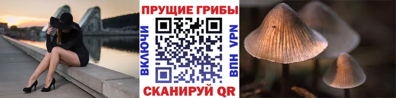 Купить где  Анжеро-Судженск  Псилоцибиновые грибы Magic Shrooms 